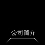 公司簡介
